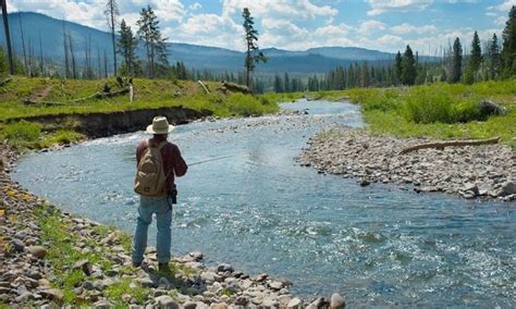 Slough Creek Yellowstone Fly Fishing, Campground - AllTrips