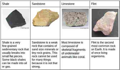 Sedimentary Rock Examples