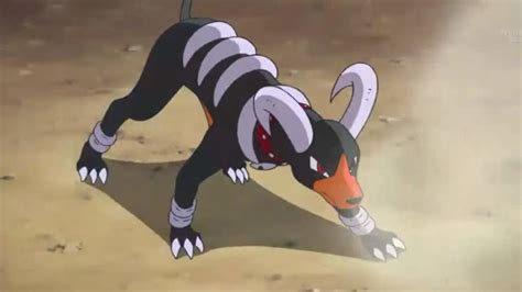 26 Fun And Interesting Facts About Houndoom From Pokemon - Tons Of Facts