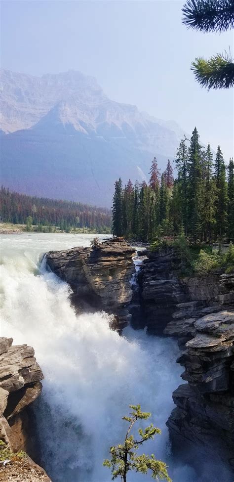 Athabasca Falls in Jasper National Park, Canada [1960x4032] [OC] : r ...