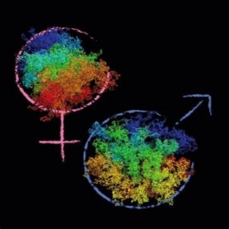 Decoding the Secrets of Totipotent Cells - BioTechniques