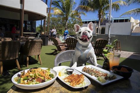 14 Best Dog-Friendly Bars, Cafés, And Restaurants To Hang With Your Pup ...