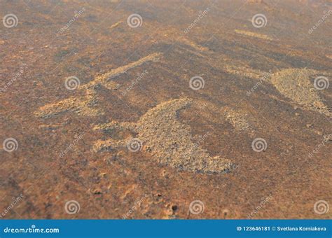 Ancient Petroglyphs Carved on the Stones of Onega Lake in Karelia Stock Image - Image of history ...