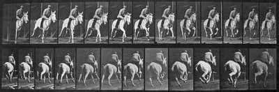 Eadweard Muybridge - HUMAN LOCOMOTION-MALE-PLATE 249 For Sale at 1stDibs