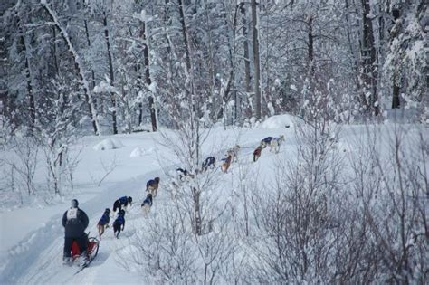 Kalkaska Winterfest In Michigan Has Delighted Visitors Of All Ages Since 1965 | Michigan ...