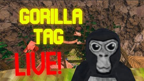 Gorilla Tag Live (1900 subs???) - YouTube