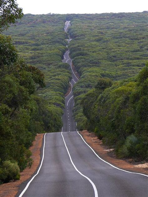 Road on kangaroo island – Artofit