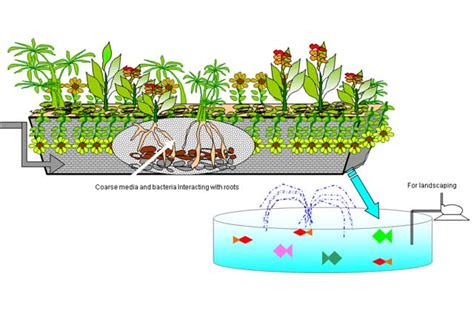 Welcome to Natural Solutions