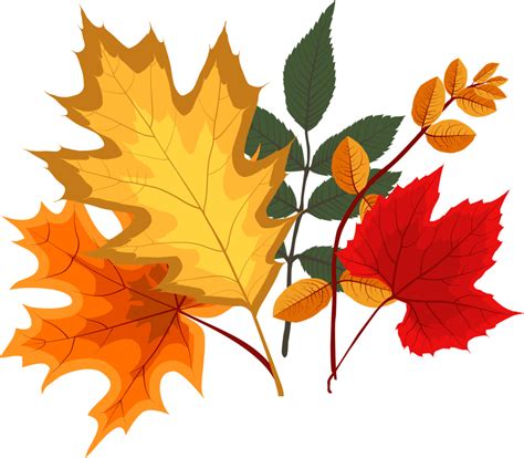 Autumn Falling Leaves 10985118 PNG