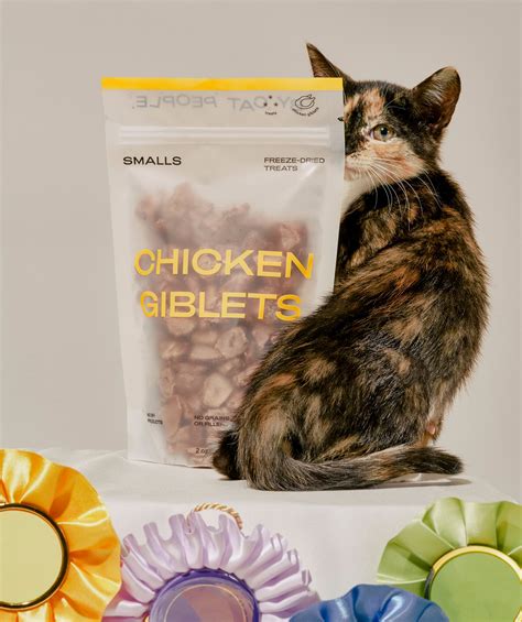 Cat Food Delivery Service: Nutritious, Delicious Food For Your Pawrrfect Partner!