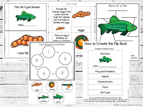 Fish Life Cycle Printables - Simple Living. Creative Learning