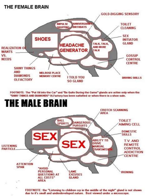 FANS OF NATURE: Male Brain Vs Female Brain