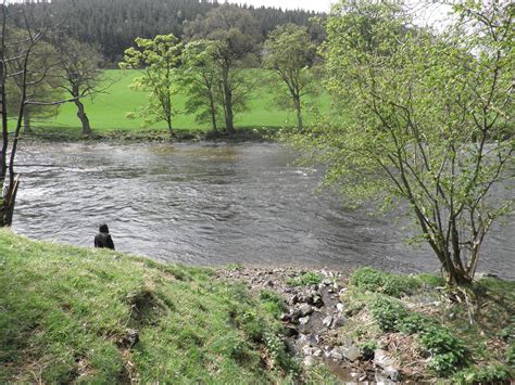 The River Beat: The River Dee, North Wales