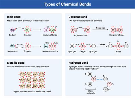 Types of Chemical Bonds | BioRender Science Templates