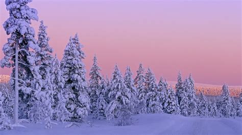 Snow widescreen wallpaper (4) #2 - 1920x1080 Wallpaper Download - Snow widescreen wallpaper (4 ...