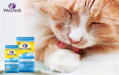 Wellness® Cat Food & Kitten Food | PetSmart