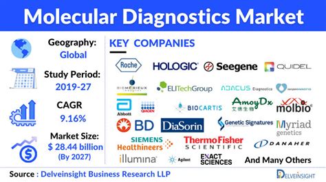 Molecular Diagnostic Market Trends and Growth Analysis