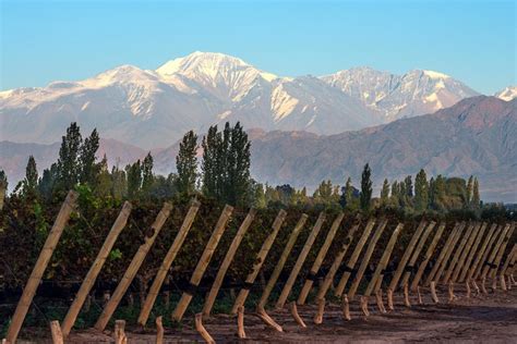 Private Wine Tour of Uco Valley from Mendoza 2024