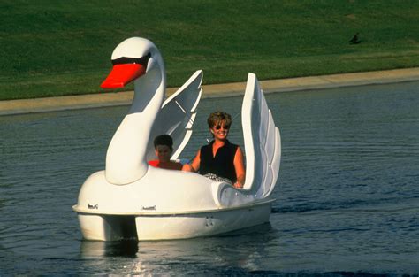 Paddle Boat: Swan Paddle Boat