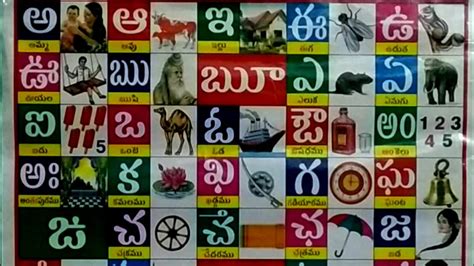 Telugu Alphabets Chart - Kannada alphabet kids, learn telugu alphabets numbers colorful pictures ...