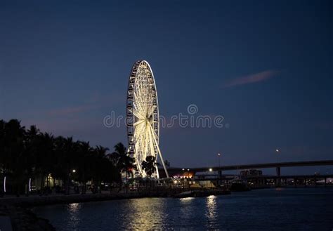 Ferris Wheel at Night in Miami Florida Editorial Stock Photo - Image of famous, illuminated ...