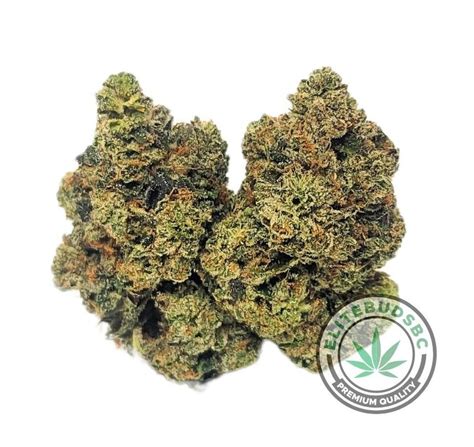 Buy Hybrid Weed Online | Best Hybrid Marijuana Strains | Elitebudsbc