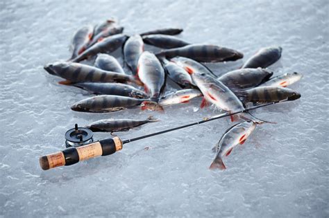 5 Secrets to Catching Ontario's Big-water Salmon Through the Ice ...