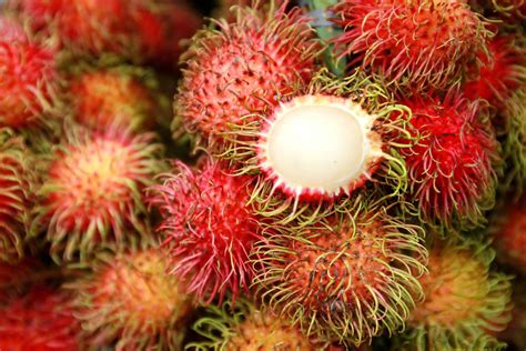 Rambutan Fruit Juice Recipe