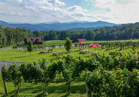 15 Spectacular Wineries to Visit in Northern Virginia - Becky Exploring