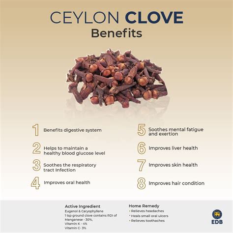 Clove folklore healing magical properties more – Artofit