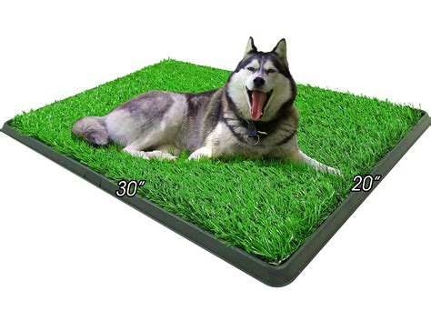 Indoor Dog Potty Grass Pad Puppy Potty Training Artificial Grass Mats,Dog Fake Grass Pee Pad ...