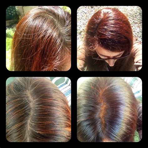 Site Suspended - This site has stepped out for a bit | Henna hair dyes ...