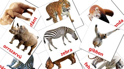 21 Free Jungle animals Flashcards in english (PDF files)