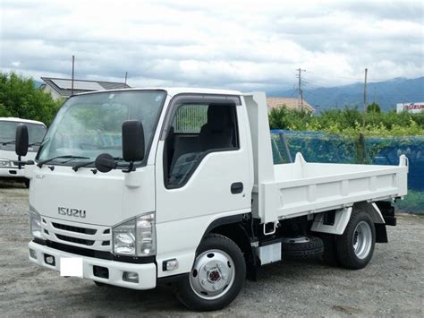 2019 ISUZU Elf Dump Truck 4WD - Commercial Trucks For Sale | Agricultural Equipment