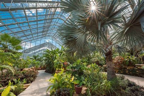 Indoor Botanical Gardens