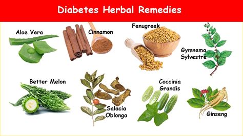 19 Best herbal Treatments For Diabetes In Nigeria – Wealth Result