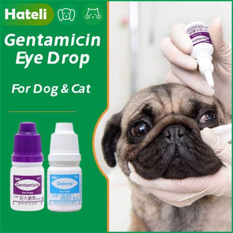 Gentamicin Eye Drops For Pets Cat and Dogs and Eye Infection Remove ...