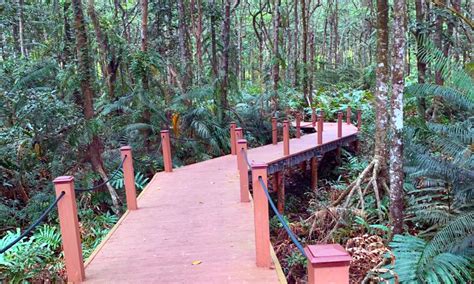 Matang Mangrove Forest Reserve (MMFR) - Global Challenges Research Fund (GCRF)