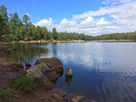 Woods Canyon Lake Trail - Arizona | AllTrails in 2021 | Canyon lake, Day trips, Trail