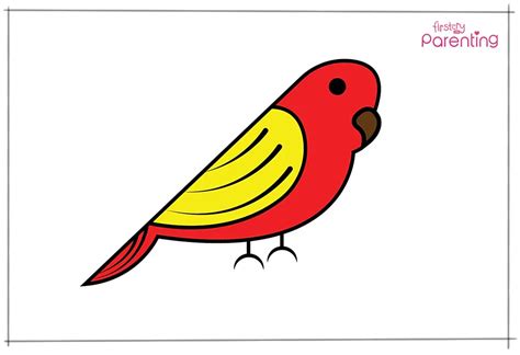 How To Draw A Bird - A Step By Step Guide With Pictures