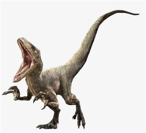 Delta Jurassic Park Wiki - Jurassic World Velociraptor Delta Transparent PNG - 1181x827 - Free ...