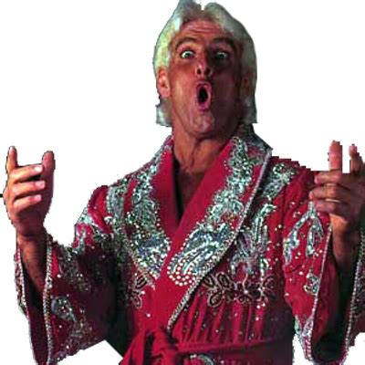 Ricflairwoo - Wonder Boy Ric Flair - Free Transparent PNG Download - PNGkey