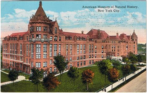 File:American Museum of Natural History, New York City.png - Wikipedia