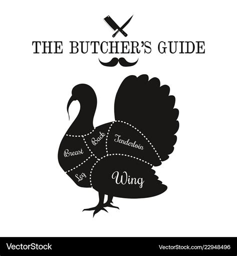 Poultry turkey meat cut lines diagram graphic Vector Image