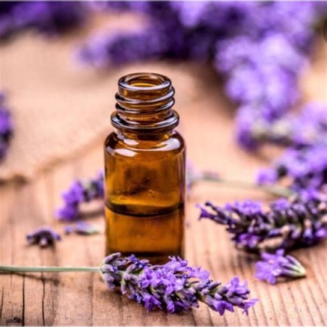 Unisex Floral Lavender Fine Fragrance, For Perfume Manufacturing at Rs ...