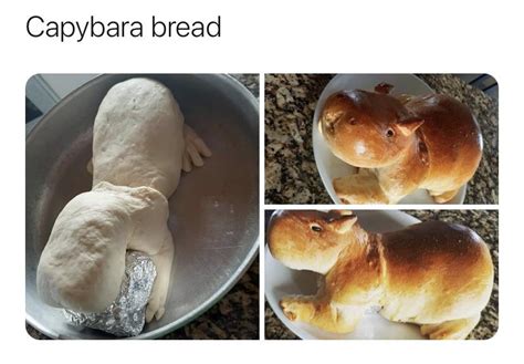 Capybara bread so skilfully baked. : r/capybara