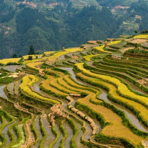 Jiabang Rice Terraces - Mountains, clouds and rice fields, the right ...