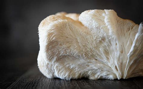 Lion’s Mane: A Mushroom to Remember – Center for Cognitive Health