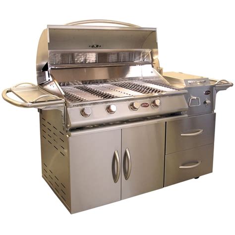 Shop Cal Flame Stainless Steel 4-Burner (60,000-BTU) Liquid Propane Gas Grill with Side Burner ...