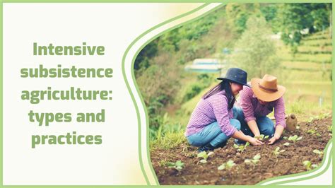 Subsistence Farming Definition